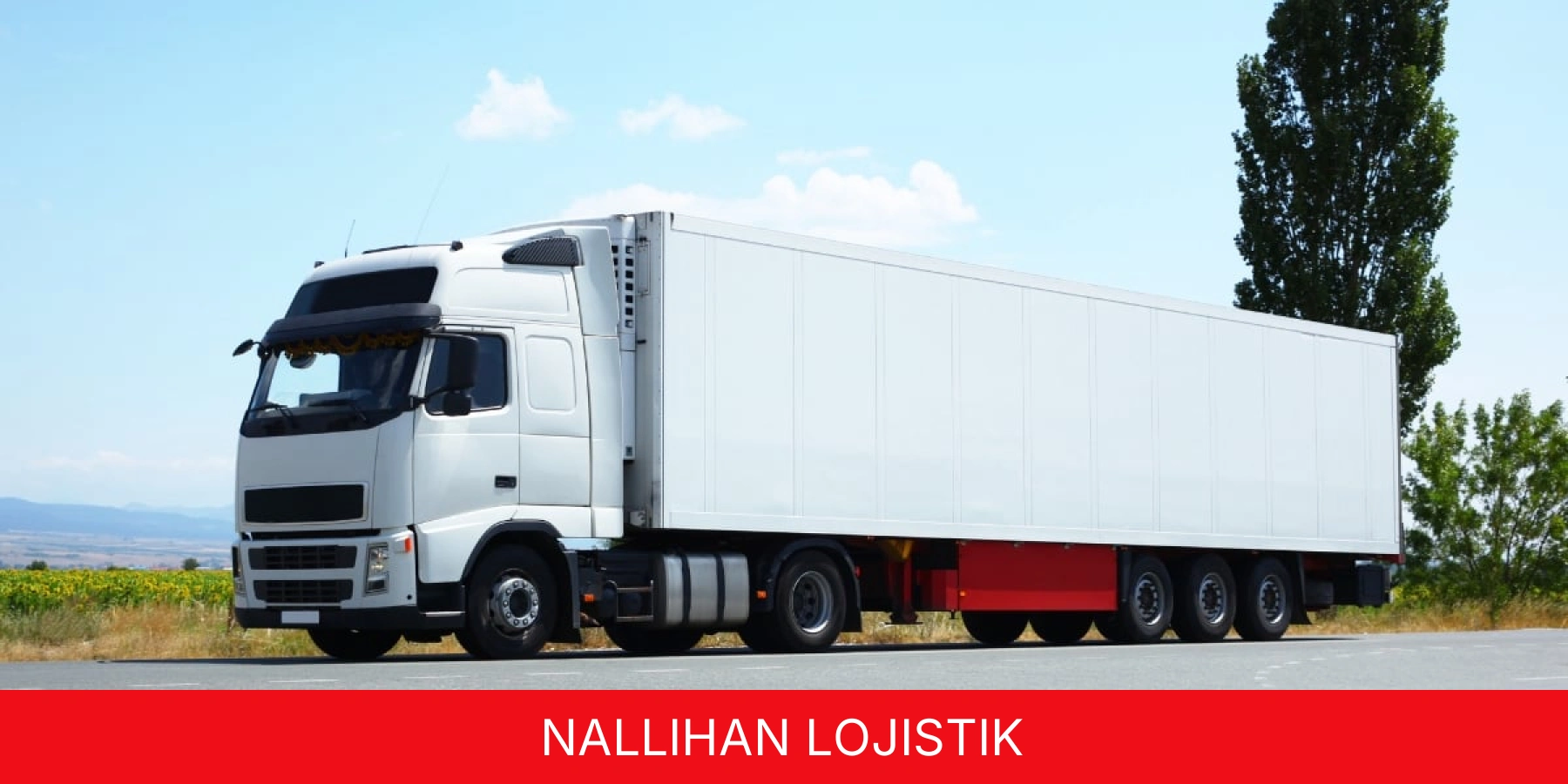 Nallıhan Lojistik