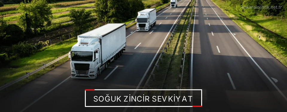 Ankara Frigo Taşımacılık Firmaları